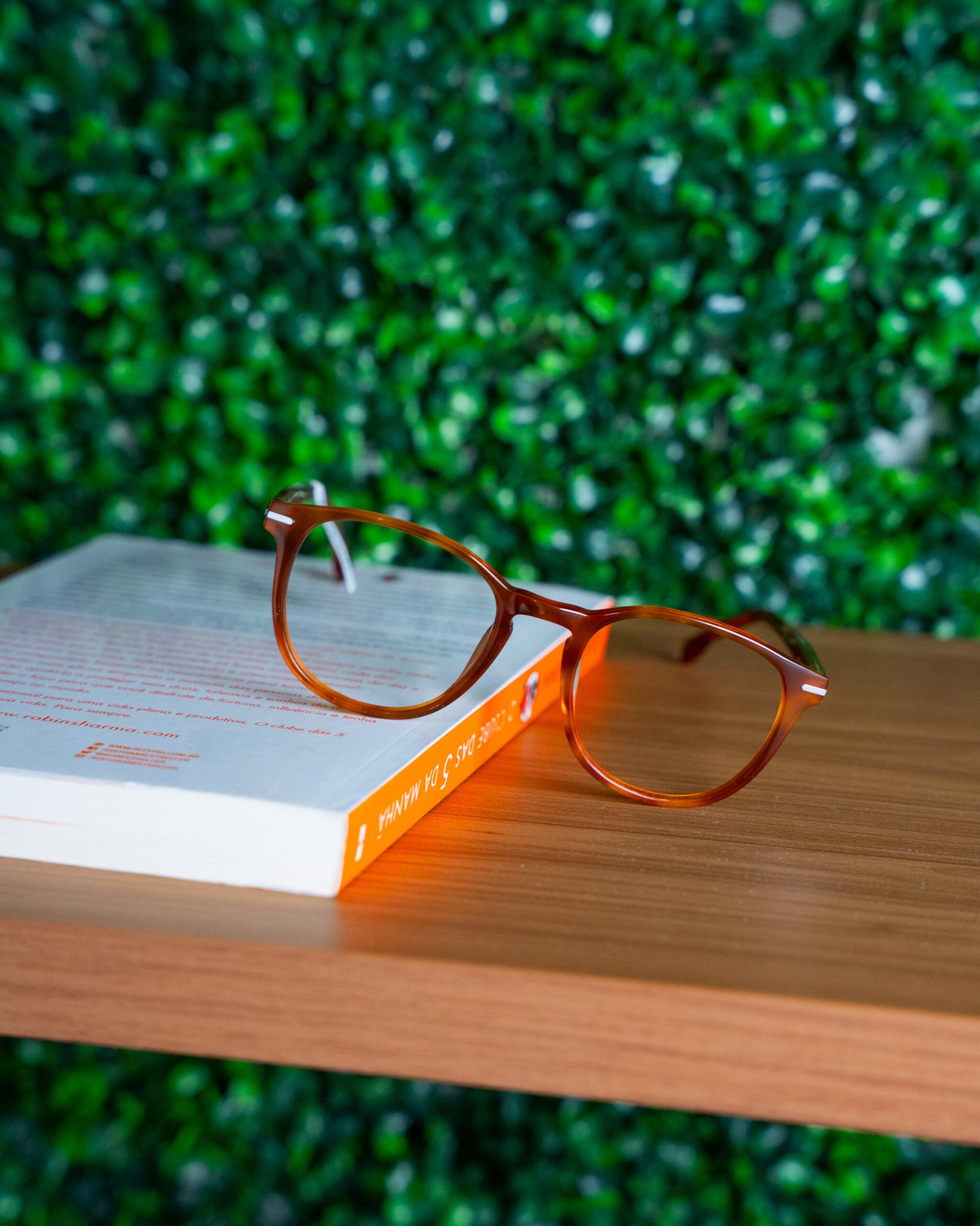 Copia de DSC01414 scaled